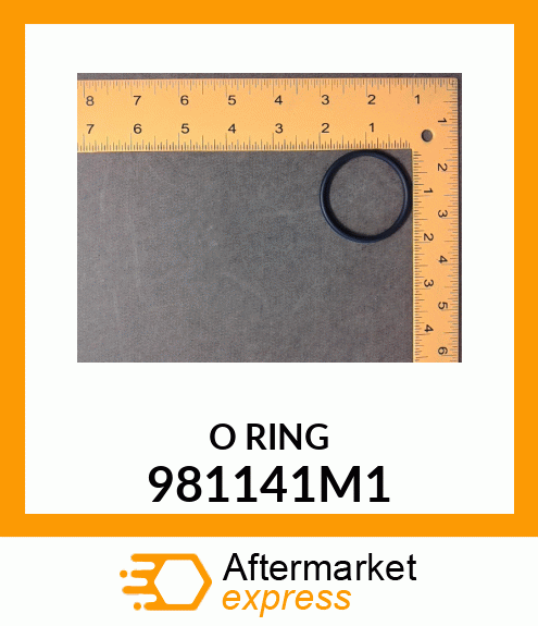 ORING 981141M1