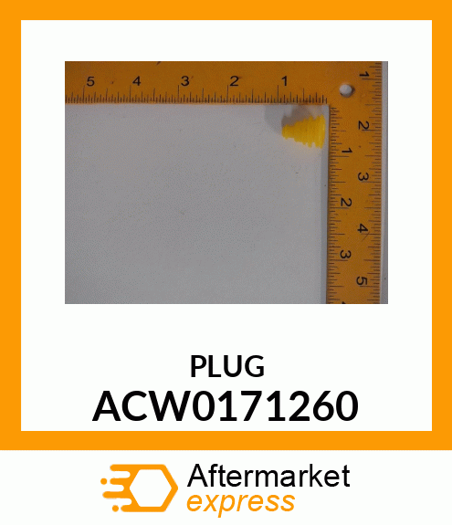 PLUG ACW0171260