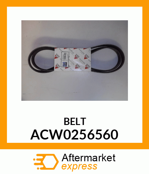 BELT ACW0256560