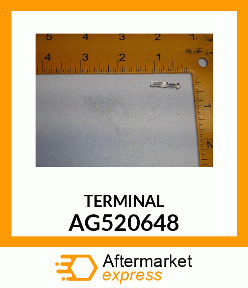 TERMINAL AG520648