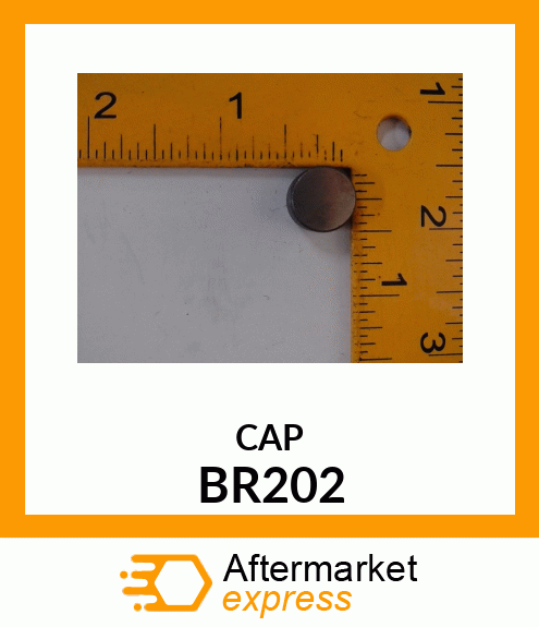 CAP BR202