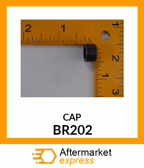 CAP BR202