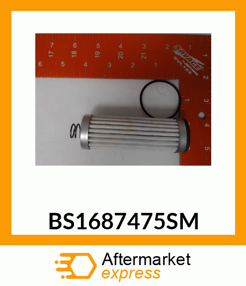 BS1687475SM