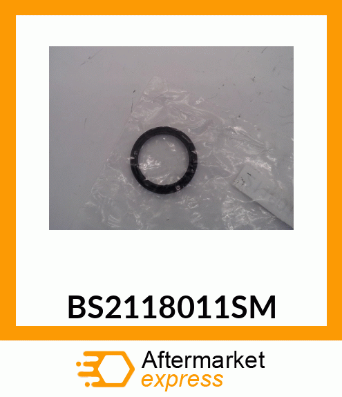 BS2118011SM