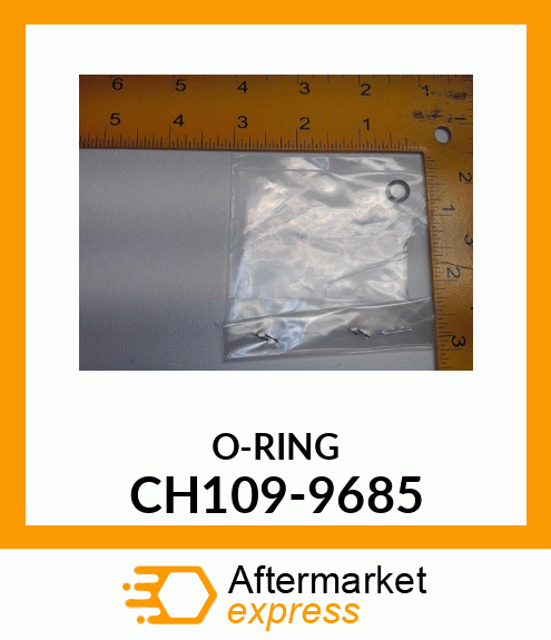 O-RING CH109-9685