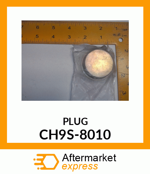 PLUG CH9S-8010