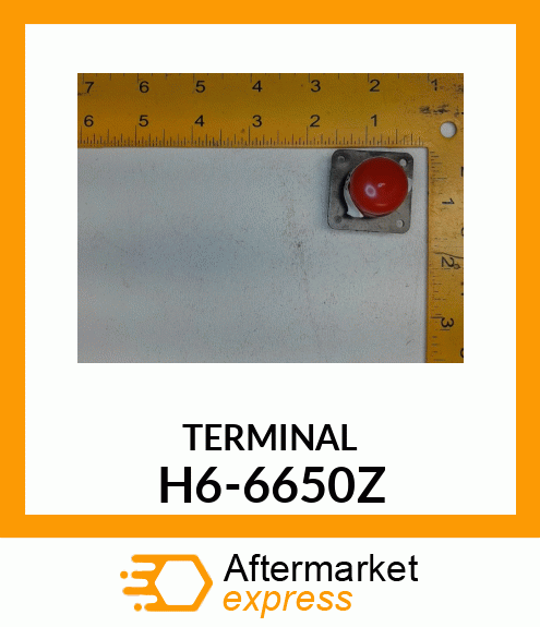 TERMINAL H6-6650Z