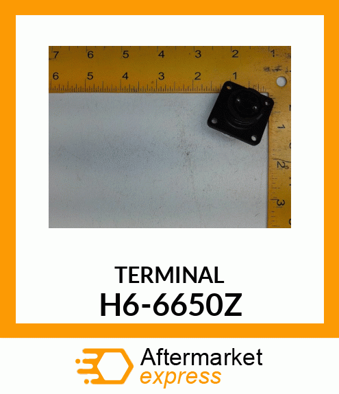 TERMINAL H6-6650Z