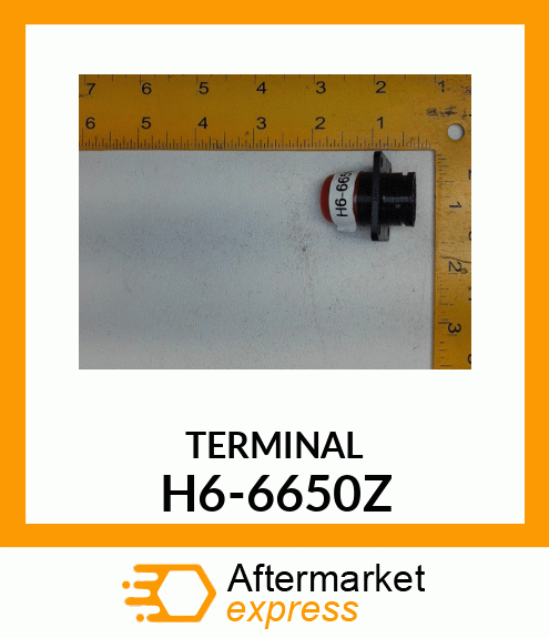 TERMINAL H6-6650Z