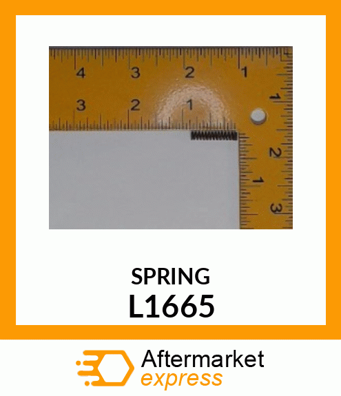 SPRING L1665