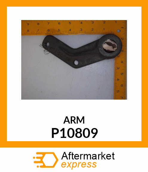 ARM P10809