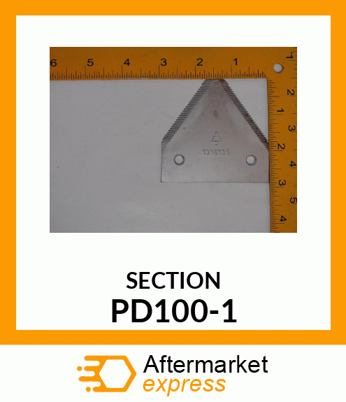 SECTION PD100-1