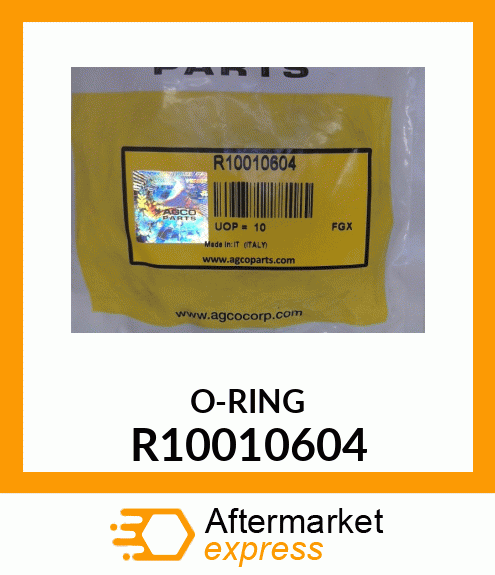 O-RING R10010604