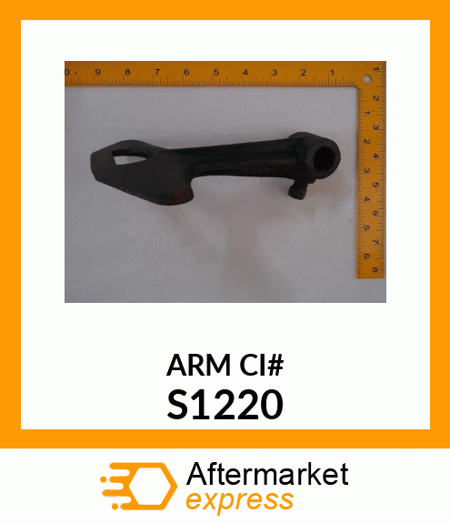 ARM_CI# S1220