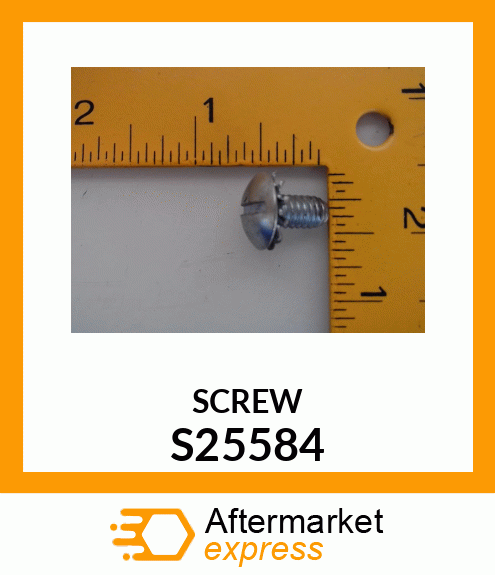 SCREW S25584