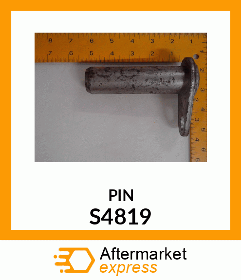 PIN S4819