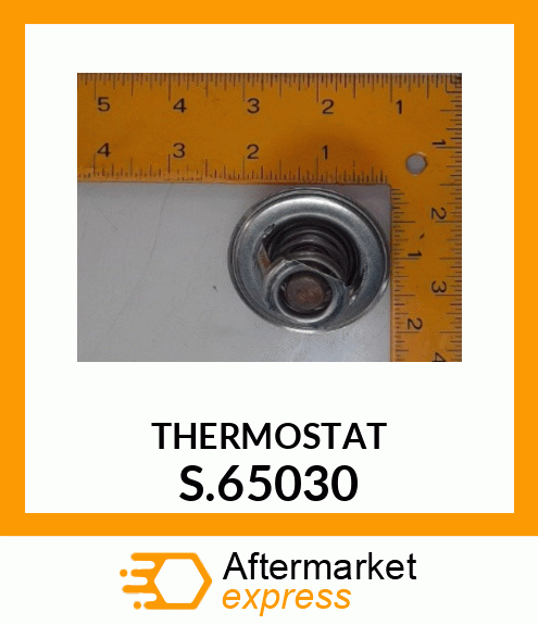 THERMOSTAT S.65030