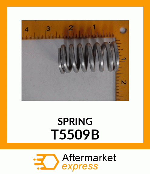 SPRING T5509B