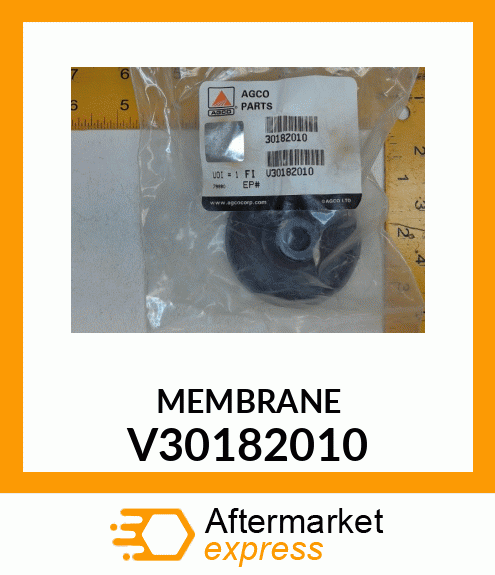 MEMBRANE V30182010