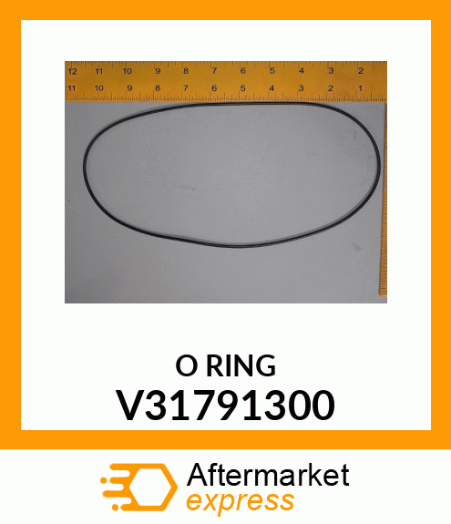 O_RING V31791300