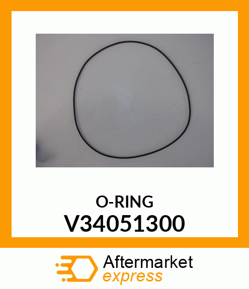 O-RING V34051300