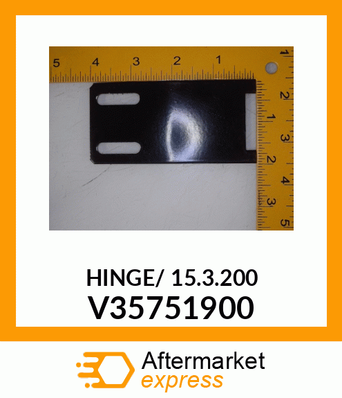 HINGE/_15.3.200 V35751900