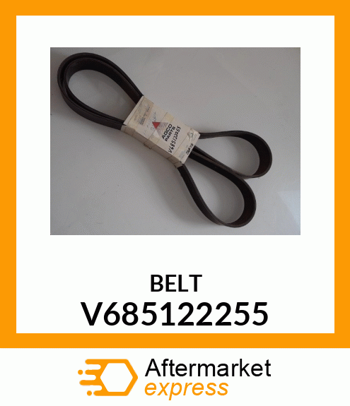 BELT V685122255