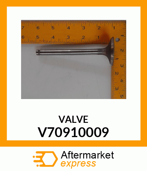 VALVE V70910009