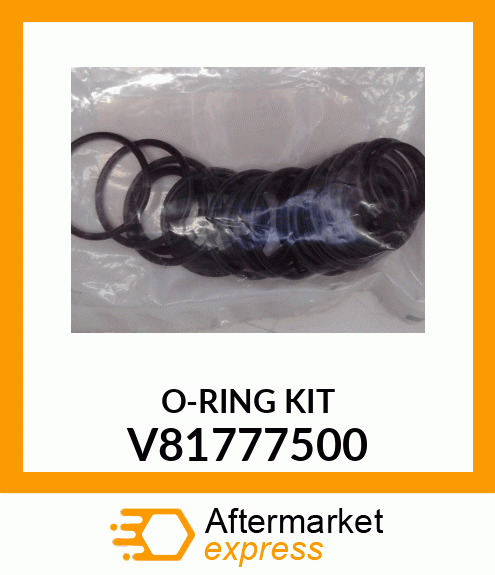 O-RING KIT V81777500