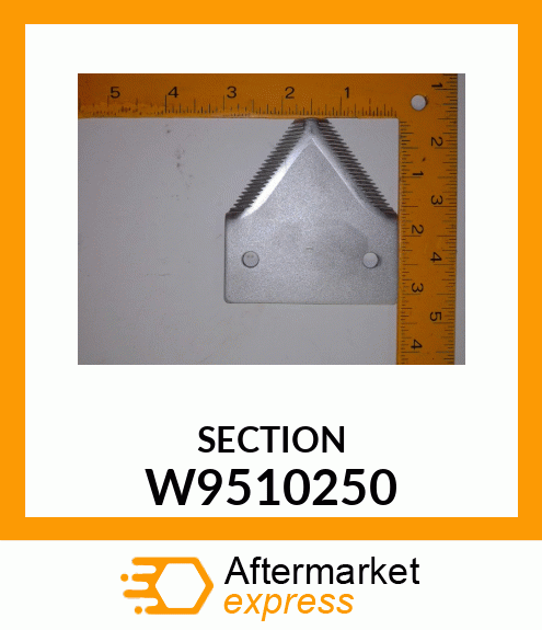 SECTION W9510250