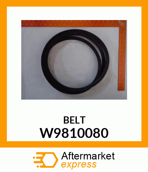 BELT W9810080