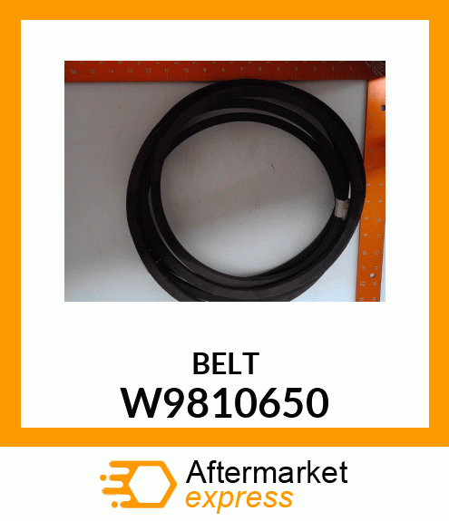 BELT W9810650