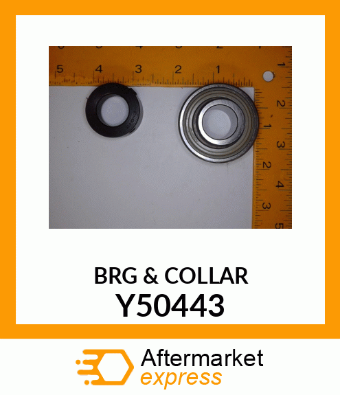 BRG_&_COLLAR Y50443