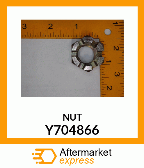 NUT Y704866