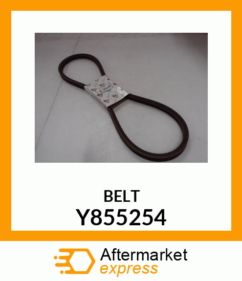 BELT Y855254