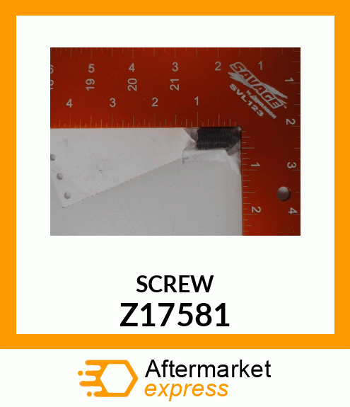 SCREW Z17581