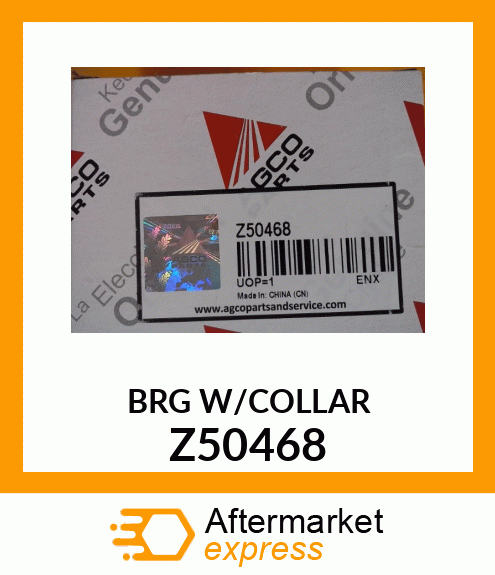 BRG_W/COLLAR Z50468