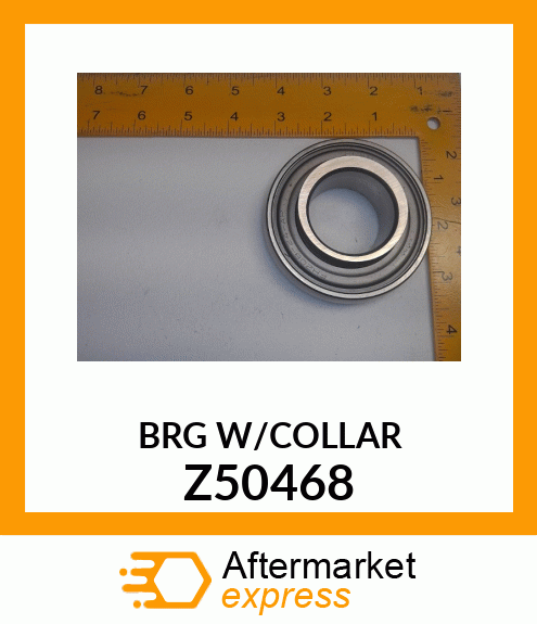 BRG_W/COLLAR Z50468