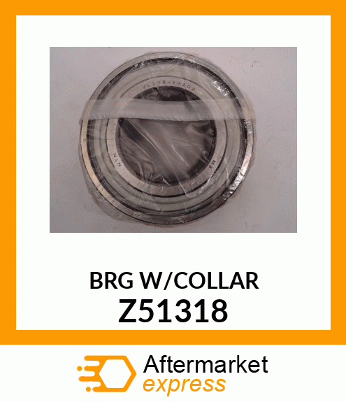 BRG_W/COLLAR Z51318