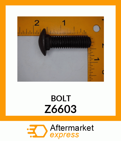 BOLT Z6603