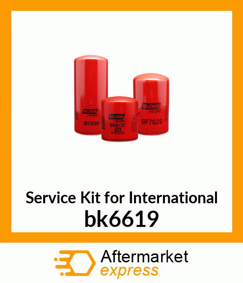 Service Kit for International bk6619