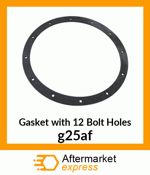 Gasket with 12 Bolt Holes g25af