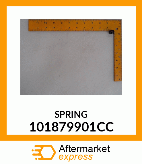 Spare part 101879901CC + SPRING