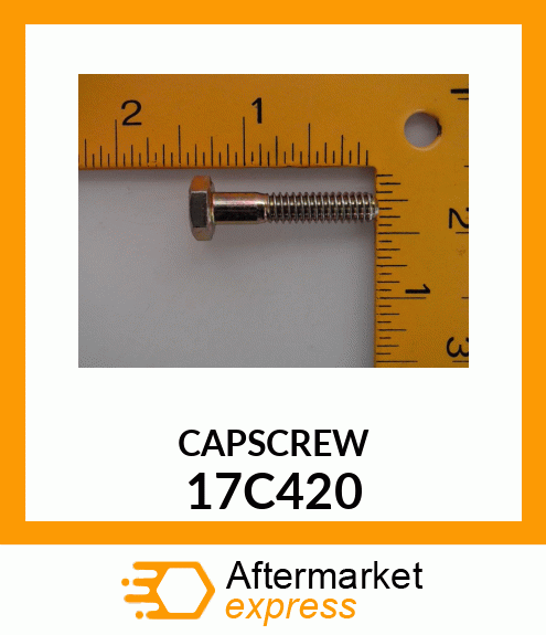 CAPSCREW 17C420