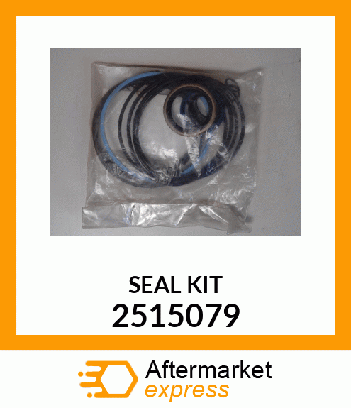 SEAL_KIT 2515079