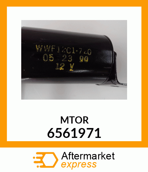 MTOR 6561971