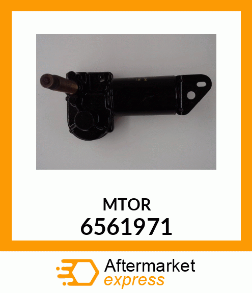 MTOR 6561971