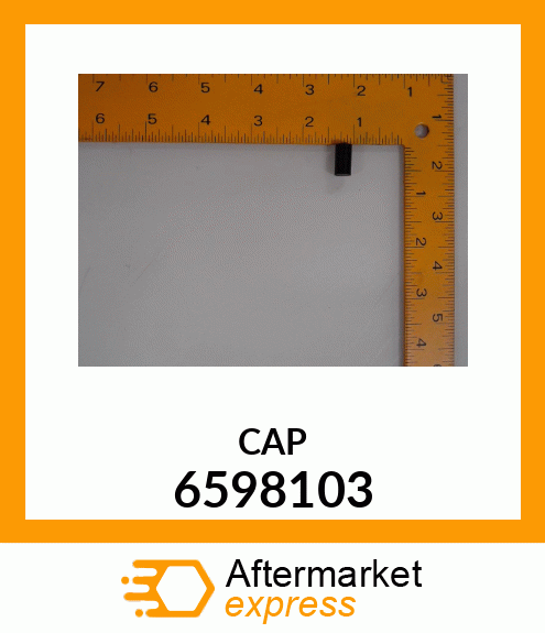 CAP 6598103