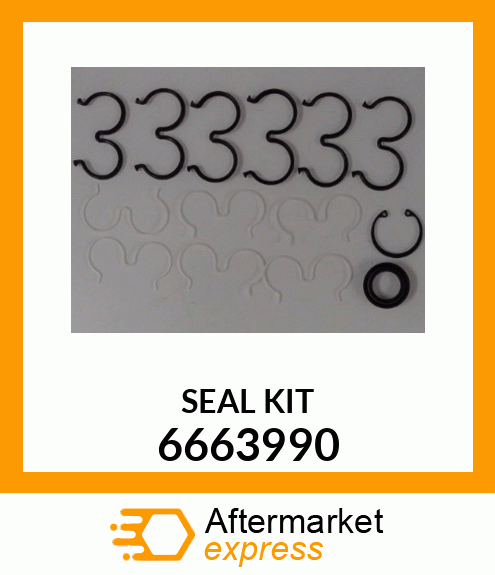 SEAL_KIT 6663990