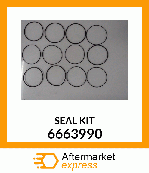 SEAL_KIT 6663990